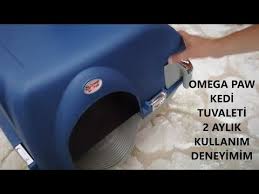 Omega Paw Kedi Tuvaleti Kullanimi Youtube