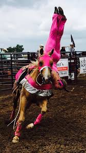 Pictures Of Professional Trick Riding Team The Trixie Chicks Trick Riders Kelsey Temmen On Cookie Performing Trick Riding Trick Riding Saddle Eventing Horses