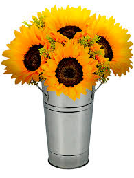 Untuk pot yang lebih besar pastikan untuk mengawasi kebutuhan penyiraman bunga matahari yang ditanam dalam wadah. Bunga Matahari Dalam Pot Gambar Gratis Di Pixabay