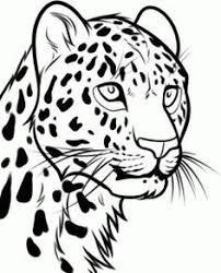 How To Draw A Leopard Head Step By Step Rainforest Animals Animals Free Online Drawing Tutorial Added By D Leopard Drawing Cheetah Drawing Animal Drawings