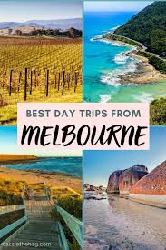 The Best Day Trips From Melbourne Amazing Things To Do In Victoria In 2020 Day Trips Trip Oceania Travel