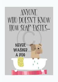 Maybe you would like to learn more about one of these? Pin On Doggie Style Grooming Spa