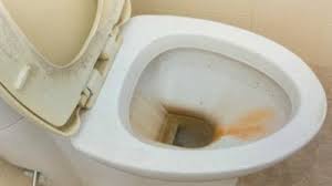 Toilet Bowl Ring 3 Different Types Ask A House Cleaner