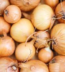 This oil helps with hair regrowth, arrests hair loss and regular use results in long thick hair and it is also so very easy to make at home and has amazing hair benefits. How To Use Onion Juice For Hair Growth