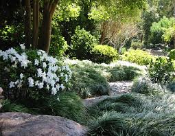 I'm passionate about gardens and garden design which is why i have been in the horticultural industry for most of my working career, almost 30 years. Flickriver Photoset Landscape Design Nz Auckland Landscaping New Zealand By Nzlandscapes