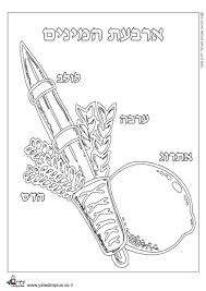 ארבעת המינים ילדים פלוס Sukkot Sukkot Decorations Sukkot Crafts