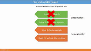 Variable kosten werden auch veränderliche, bewegliche oder mengenabhängige kosten genannt. 10 4 1 Fixe Kosten Variable Kosten Erklarung Und Unterschied Youtube
