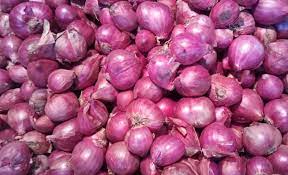 Bawang merah (allium cepa l. Bawang Merah 500gr Cek Toko Santri