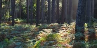 Standing Hat Circular Walk • Hiking Trail » outdooractive.com