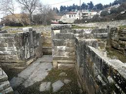 Image result for Thesium thamnus