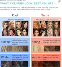 Varianalyysi Xenia S Day Skin Tone Hair Color Warm Hair Color Hair Colour For Green Eyes