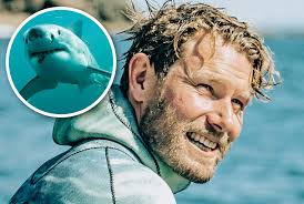 What El Nino might reveal about great white sharks in NZ