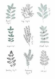 Pin By Laura On Desenho Botanical Drawings Flower Drawing Tattoos
