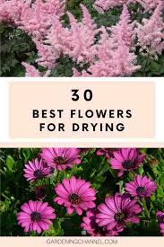 Create small bunches of the same flower and hang them upside down to dry. 30 Best Flowers For Drying Gardening Channel