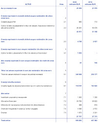 Parlamentul româniei adoptă prezenta lege. Conturile Anuale Ale Bce 2020