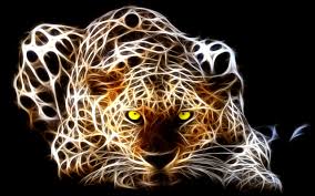 Zedge Ringtones Wallpapers Zedge Free Wallpapers Vidur Download Tableau Animaux 1280x800 Wallpaper Teahub Io