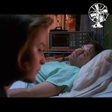 Episode 194: The Pain Fandom — Fansplaining