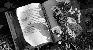 Sprüche trauerkarte auf den meisten trauerkarten wird ein kurzer sinnspruch oder ein zitat, zum beispiel aus der bibel, verwendet, um die eigenen emotionen ausdrücken zu können. Die Passende Einleitung Fur Trauerkarten Und Wurdevolle Beileidsschreiben