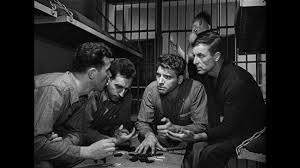 🇺🇸the official community page for brute force training. Brute Force Review Criterion Forum