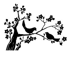 Pin Op Aves