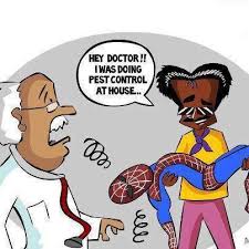Pest Control Memes Pest Control Pest Control Humor Pest Control Roaches
