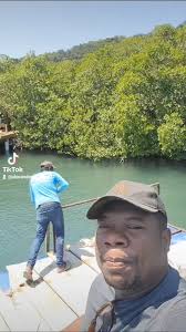 Me Estoy Imigrando de Honduras a Estado unido #roatandockbuilder  #RoatanRealEstate #imigrantes #honduras2024