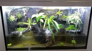 They sell for 10 each. Vivarium Paludarium For Frogs Page 2 Aussie Pythons And Snakes