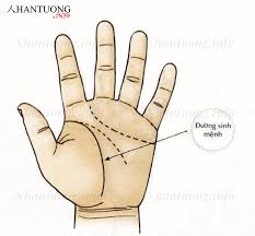 Cho nên, tính cách, tình duyên, công danh, tài lộc, sự nghiệp, cuộc đời của người có kiểu tay. Cach Xem Chá»‰ Tay Ä'oan Tuá»•i Thá» Cuá»™c Ä'á»i Sá»©c Khá»e