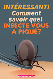 Interessant Comment Savoir Quel Insecte Vous A Pique Les Gestes Qui Sauvent Info Sante Comment Savoir