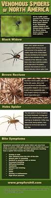 It is the most dangerous snake in north america! 21 Oklahoma Spiders Ideas Spider Oklahoma Brown Recluse Spider