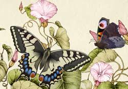 Jacquie lawson birthday cards from jacquie lawson birthday card , source:www.freshmintcards.com. Happy Birthday Butterfly Bouquet E Card By Jacquie Lawson