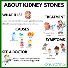 Andrology In Madurai Best Andrologist In Madurai Sexologists Yuvanurology Medical Knowledge Oncology Endocrinologist