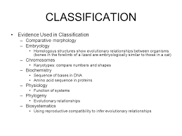 Classification Each Person Might Divide These Shells Into Different Categories Scientists Often Group And Name Or Classify Organisms Using Certain Guidelines Ppt Download