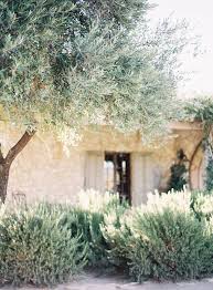 Un Jardin Mediterraneen Tout En Sobriete Jardin Mediterraneen Jardins Idees Jardin