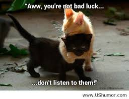 Check spelling or type a new query. Good Luck Cat Quotes Quotesgram