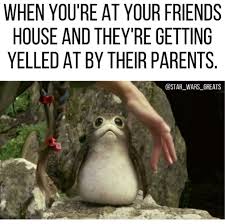 Porg Meme Star Wars Jokes Star Wars Humor Funny Star Wars Pictures