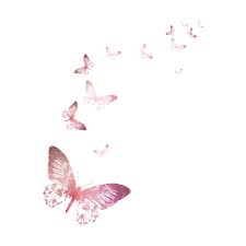 Korolevstvo Ptic Butterfly Wallpaper Iphone Butterfly Wallpaper Butterfly Art