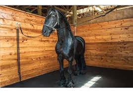 Flooring great for sports utility trailers, enclosed trailers, open trailers, foldable trailers, and more. Rubber Mats For Horse Stalls And Livestock Trailers