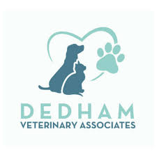 Our vets are always happy to give a detailed answer to your question as soon as possible. Welcome To Dedham Veterinary Associates Dedham Ma 02026 Vet