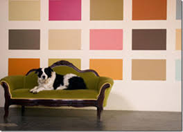 Testing Selecting Paint Colours
