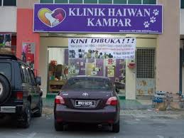 15 a, jalan semangat baru 1, taman semangat baru, 08000 sungai petani, kedah, מלזיה. Cat Speutering Day Kampar 2013 Scratch Petfinder My Wagazine