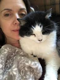 Update: OWNER FOUND! 😍 Found cat