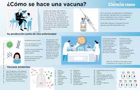 La vacuna experimental contra la covid de cansino biologics inc. Con La Autorizacion Para Uso De Emergencia De Las Vacunas Contra El Sars Cov 2 De Cansino Biologics Y Sinovac Mexico Suma Cinco Alternativas Vacunales Codigo F