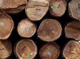 Only logged in customers who have purchased this product may leave a review. Walnut Logs Veneer Saw Grades Porter Lumber