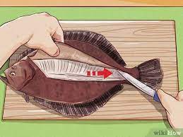 How To Clean Flounder: 10 Steps (With Pictures) - Wikihow