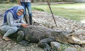 Jam buka taman safari bogor. Apakah Taman Buaya Buka Penangkaran Buaya Teritip Sensasi Di Dekat Reptil Raksasa Bukan Hal Yang Baru Jika Indonesia Dikritik Sebagai Negara Yang Rendah Tingkat Literasinya Songo