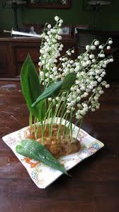 Pin On Planties