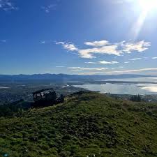 Profile for Burson logging