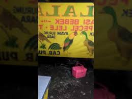 Ada lagi tempat makan yang menyediakan lalapan dengan sambal khas yang bikin kangen. Cabang Purnama Lalapan Mantap Youtube
