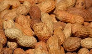 Maybe you would like to learn more about one of these? Kacang Yang Baik Untuk Ibu Hamil Ada 5 Jenis Gonutify Com